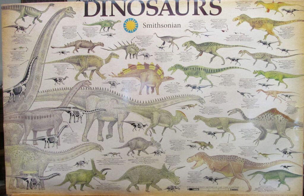 Dinosaur Genera (1)