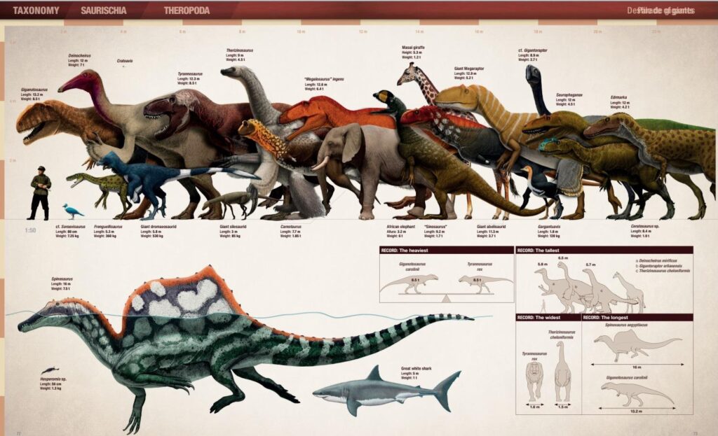Dinosaur Genera (2)