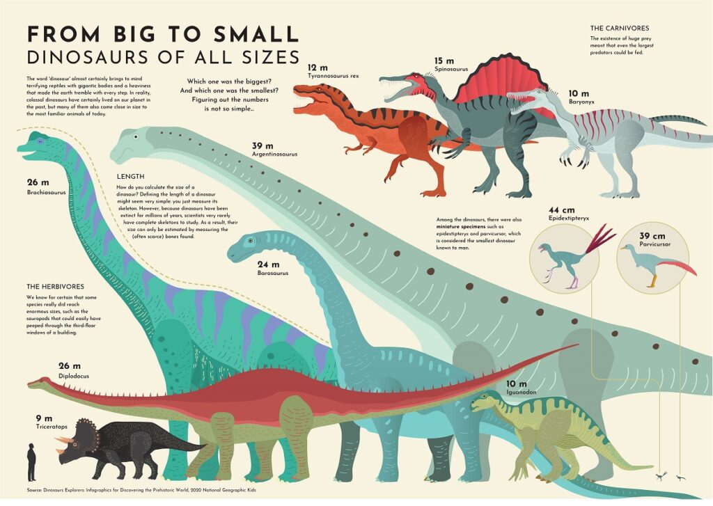 Dinosaur Genera (3)