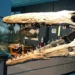 fossil research science