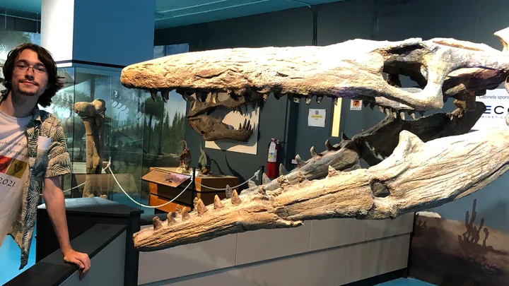 fossil research science