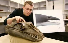 fossil research science2